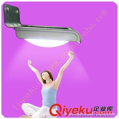 绿色点亮庭院 义乌市赵廖电子商务商行新款人体感应太阳能灯全解析